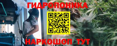 spice Кулебаки