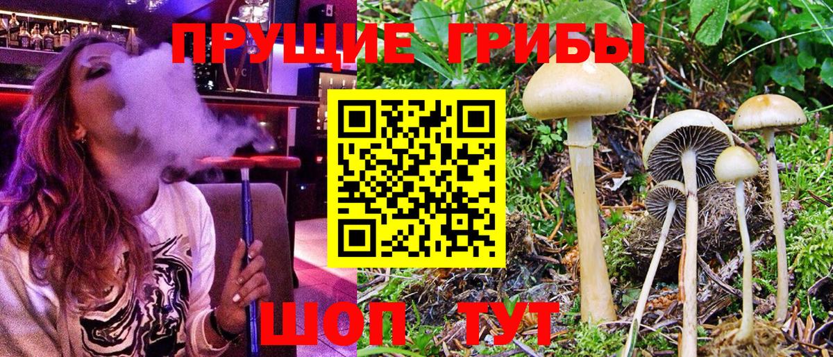 Галлюциногенные грибы Cubensis Екатеринбург